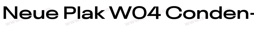 Neue Plak W04 Conden字体转换